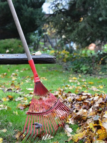 Garden Cleaning
