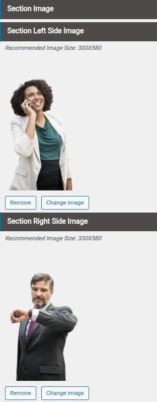 set Banner 2 section