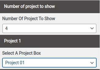 set Featured Page section