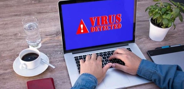 Virus Removal & Security