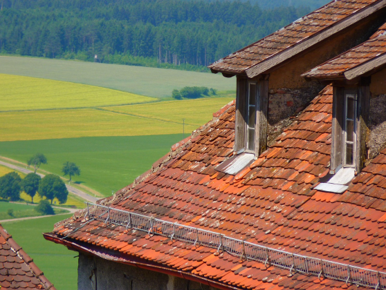 Roof Replacement And Repair