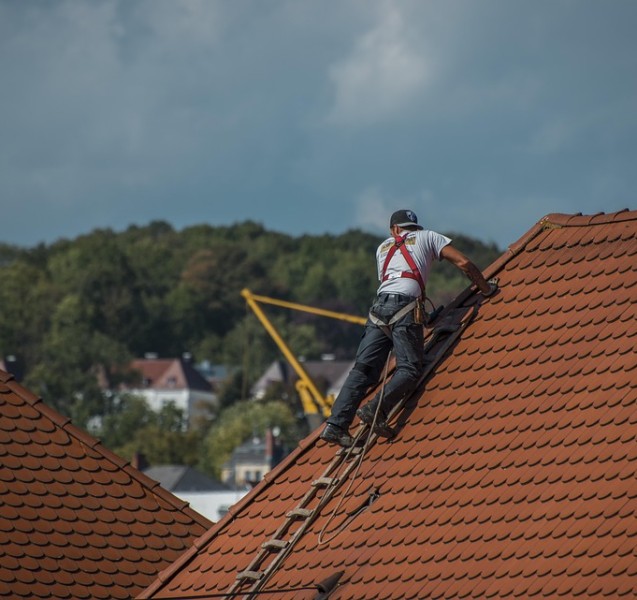 Roof Cleaning