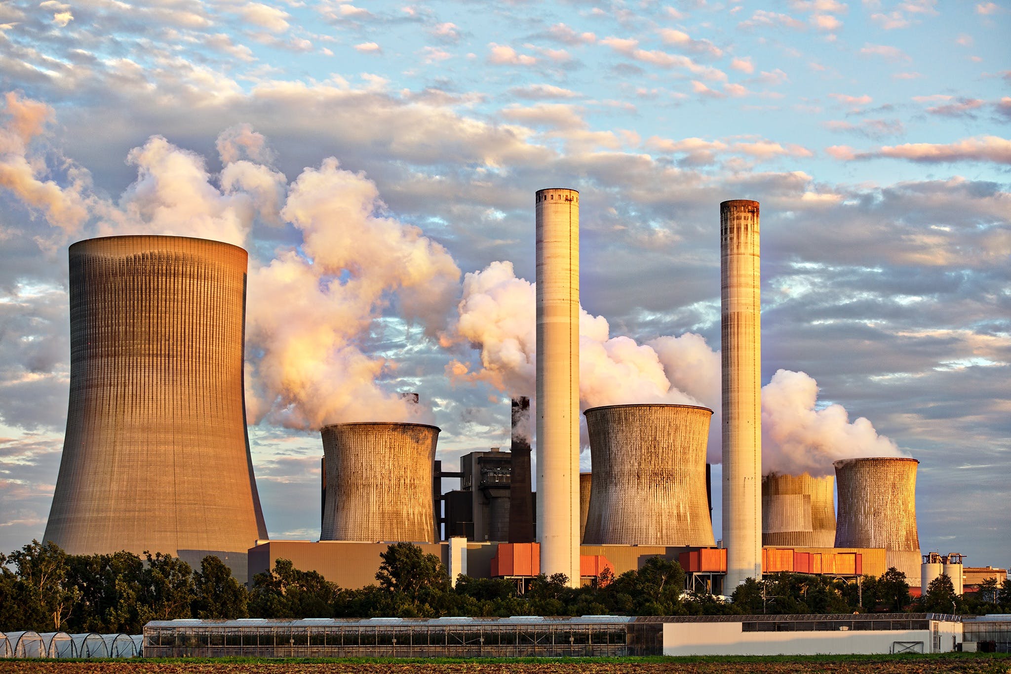 Resilience and Sustainability